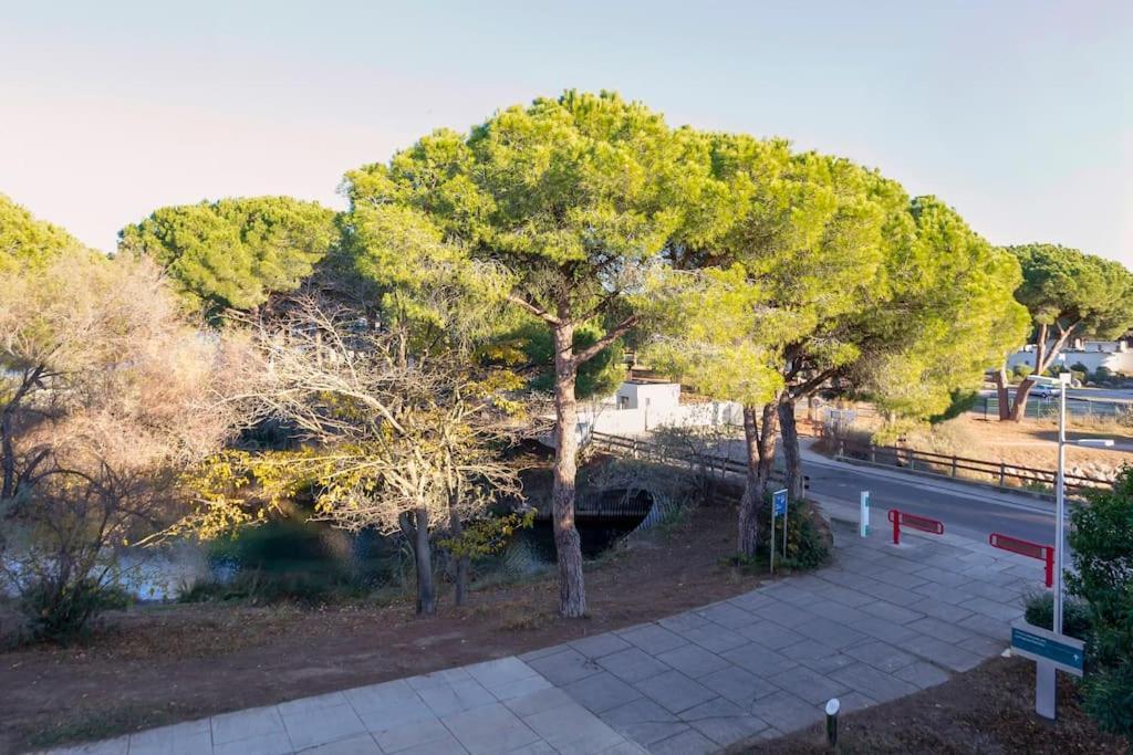 Chez Sebastien - Paisible Studio Au Bord D'Un Lac Avec Parking La Grande-Motte Esterno foto